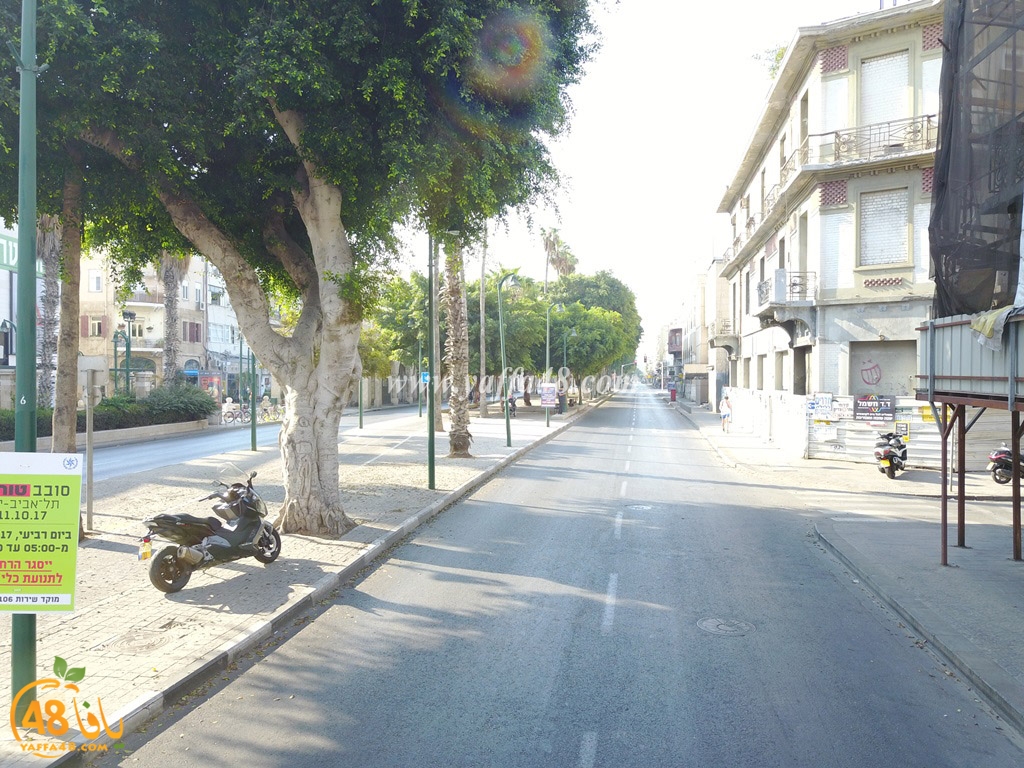 jamal basha tsterre (19).JPG